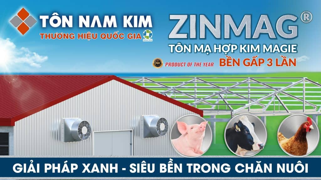 Tôn Magie: Là Giải Pháp Chống Ăn Mòn Tốt Nhất Cho Công Trình Gần Biển 6 Tôn Nam Kim Thương hiệu quốc gia